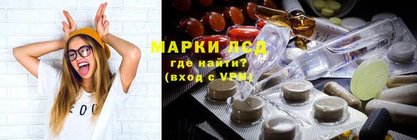 индика Аркадак