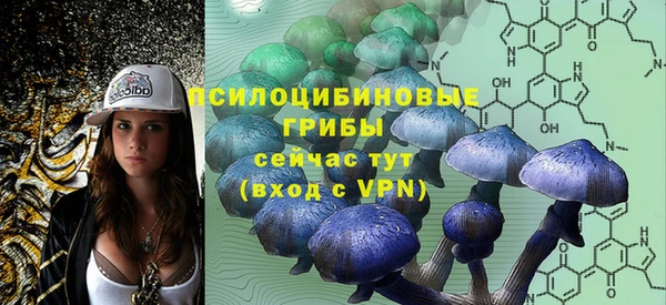 хмурый Арсеньев