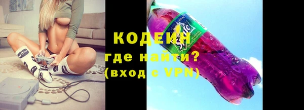 хмурый Арсеньев