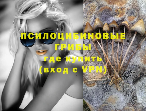 хмурый Арсеньев