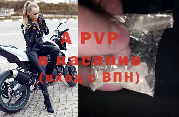 индика Аркадак