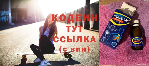 хмурый Арсеньев