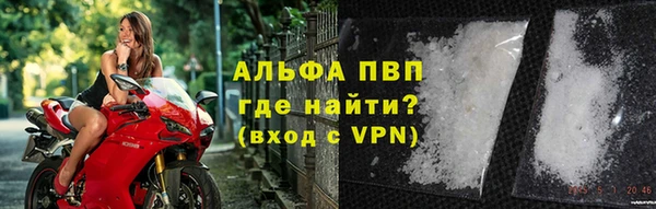 индика Аркадак