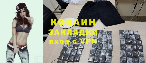 хмурый Арсеньев