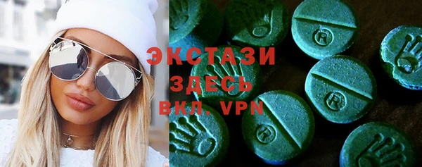 индика Аркадак